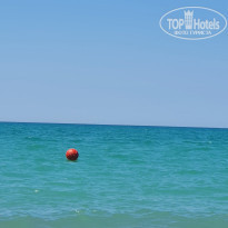 фото из отзыва ID 2190408