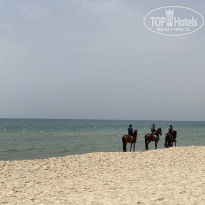 фото из отзыва ID 2190500