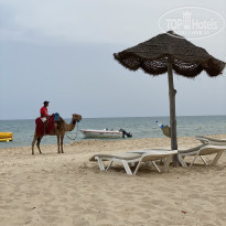 фото из отзыва ID 2190500