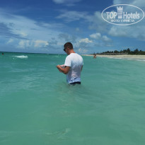 фото из отзыва ID 2190671