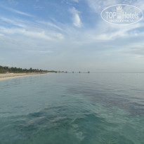 фото из отзыва ID 2190844