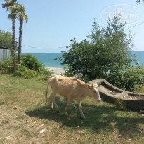 фото из отзыва ID 2190876