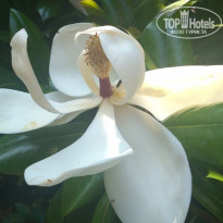 фото из отзыва ID 2190876