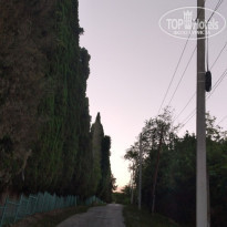 фото из отзыва ID 2190876