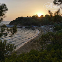 фото из отзыва ID 2191055