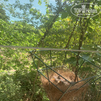 фото из отзыва ID 2191053