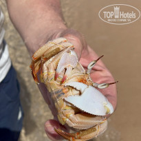 фото из отзыва ID 2191154