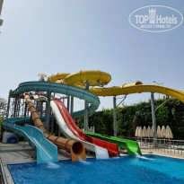 фото из отзыва ID 2191210