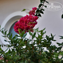 фото из отзыва ID 2191361