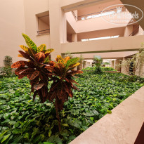 фото из отзыва ID 2191363