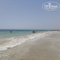 фото из отзыва ID 2191606