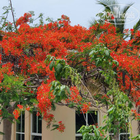 фото из отзыва ID 2191823