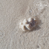 фото из отзыва ID 2191823