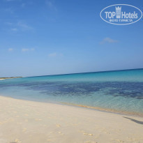 фото из отзыва ID 2191823