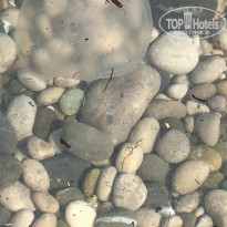 фото из отзыва ID 2191845