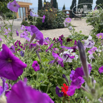 фото из отзыва ID 2191939