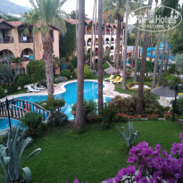 фото из отзыва ID 2192006