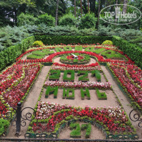 фото из отзыва ID 2192196