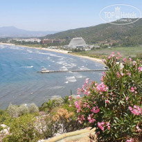 фото из отзыва ID 2192255