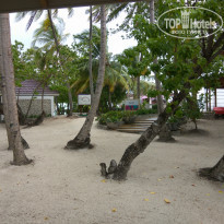 фото из отзыва ID 2192409