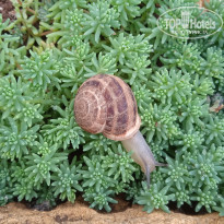 фото из отзыва ID 2192427