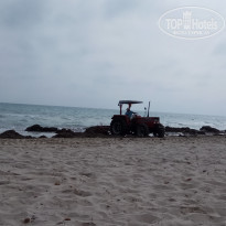 фото из отзыва ID 2192484