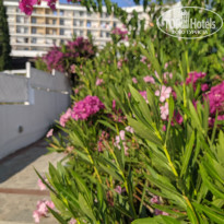 фото из отзыва ID 2192515