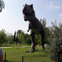 фото из отзыва ID 2192596