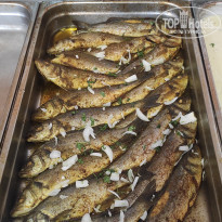 фото из отзыва ID 2191207