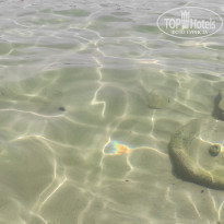 фото из отзыва ID 2191207