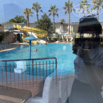 фото из отзыва ID 2192662