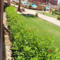 фото из отзыва ID 2192775