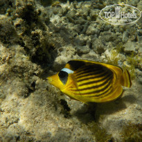 фото из отзыва ID 2192775