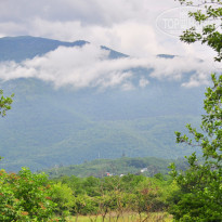 фото из отзыва ID 2192835