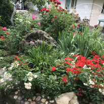 фото из отзыва ID 2192830