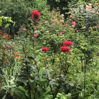 фото из отзыва ID 2192830