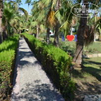 фото из отзыва ID 2192913