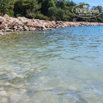 фото из отзыва ID 2193030