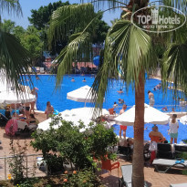 фото из отзыва ID 2193160