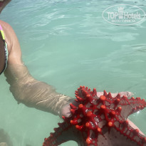 фото из отзыва ID 2193280