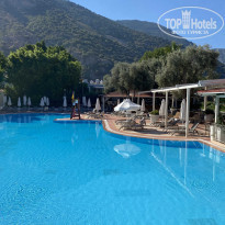 фото из отзыва ID 2193242