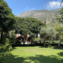 фото из отзыва ID 2193242