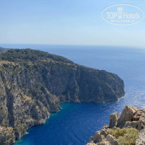 фото из отзыва ID 2193242