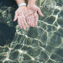 фото из отзыва ID 2193366