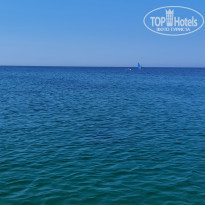 фото из отзыва ID 2193366