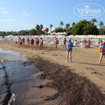 фото из отзыва ID 2193441