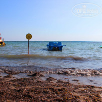 фото из отзыва ID 2193441