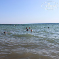 фото из отзыва ID 2193441