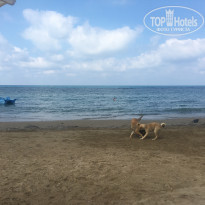 фото из отзыва ID 2193441