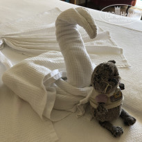 фото из отзыва ID 2193448